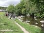 Alongside the Kent on the way to Staveley Alongside the Kent on the way to Staveley