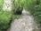 The rain was swelling the water The rain was swelling the water