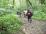 Into the green woods Into the green woods