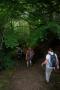 That looks a shady descent That looks a shady descent