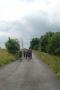 There was a little road walk There was a little road walk