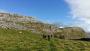 Limestone view Limestone view
