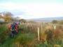 More boggy ground More boggy ground