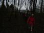 It looks dark in those woods It looks dark in those woods