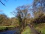 River Darwen River Darwen