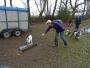 Very friendly goats Very friendly goats