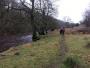 Alongside the Ribble Alongside the Ribble