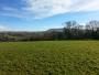 Pendle in the distance Pendle in the distance