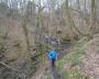 Bernard leading the way in Duddle Wood Bernard leading the way in Duddle Wood