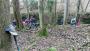 It's like hide and seek in the trees It's like hide and seek in the trees