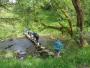 Stepping stones at Roughlee Stepping stones at Roughlee
