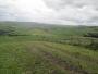 More green fields More green fields