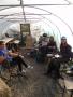  Lunch in the Poly Tunnel