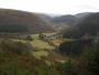  Welsh forest and valley