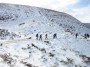 Figures in the snow. Figures in the snow.
