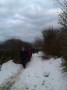 A snowy path A snowy path