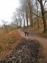  Into Delamere Forest, a good path with a side helping of mud.