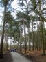 Some good paths too. Some good paths too.