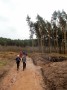 Some logging going on, you can see the sandstone colour here. Some logging going on, you can see the sandstone colour here.