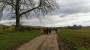 Along the farm track. Along the farm track.