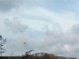 A swan flew overhead. A swan flew overhead.
