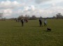 Still on the fields near the river Lune. Still on the fields near the river Lune.
