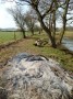 Clearing and burning the debris from the floods. Clearing and burning the debris from the floods.