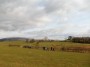 Out along the fields. Out along the fields.