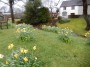  At least the daffodils were in bloom.