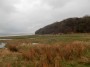 The group round the point near Arnside. The group round the point near Arnside.