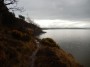 The gorse in bloom, looking towards Silverdale. The gorse in bloom, looking towards Silverdale.