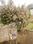 Back near the church in Silverdale. Back near the church in Silverdale.