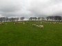 Baaaa, cute lambs. Baaaa, cute lambs.