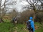 There were some challenging stiles today, this was one. There were some challenging stiles today, this was one.