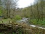River scene. River scene.