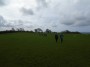 The fields are greening up nicely now. The fields are greening up nicely now.