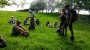 Break on a grassy hillside Break on a grassy hillside