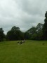 Wonderful greenery today Wonderful greenery today