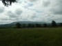  Pendle again and grassy fields
