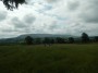 Pendle again and grassy fields Pendle again and grassy fields
