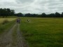 The local cattle were interested in us at times.... The local cattle were interested in us at times....