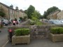 Into Waddington Into Waddington