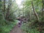 Cool woodland Cool woodland