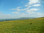 Buttercups and Pendle Buttercups and Pendle