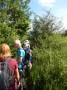 Into the jungle?? Into the jungle??