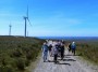 On the Wind farm service road On the Wind farm service road