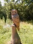 Owl do you do Owl do you do