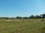 We met a lot of cattle today We met a lot of cattle today