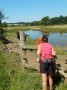 Viv does a bit of cattle whispering Viv does a bit of cattle whispering