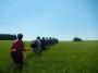 Tiptoe through the wheat field....... Tiptoe through the wheat field.......